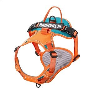 Orange & Teal Breathable Adjustable Dog Harness with Velcro Training Label
